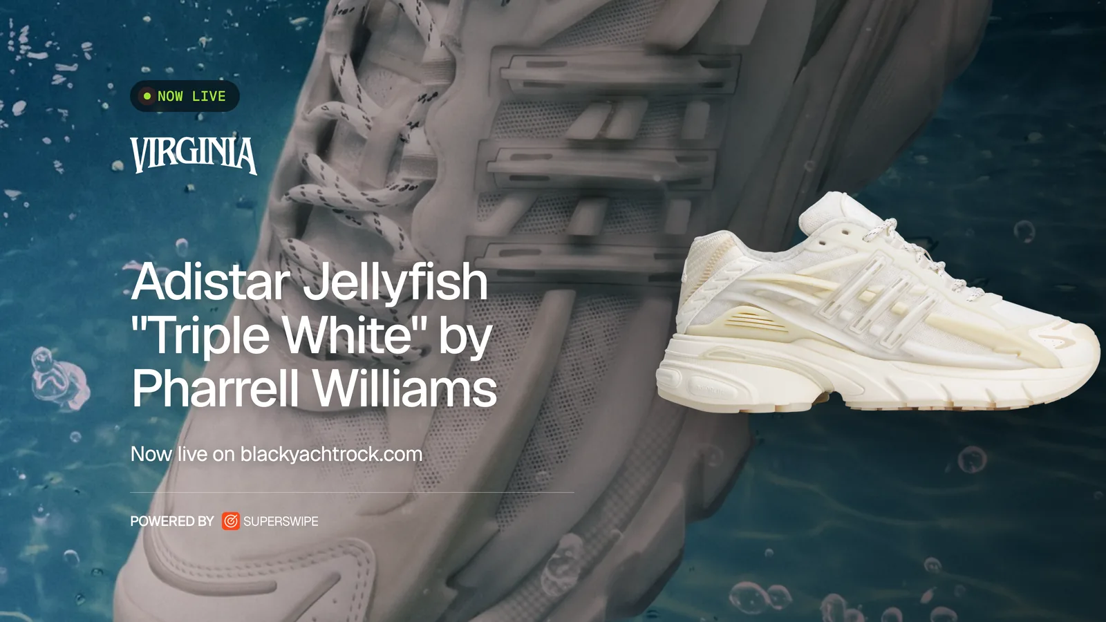 VIRGINIA launch graphic, adidas Adistar Jellyfish Triple White by Pharrell Williams now live on blackyachtrock.com